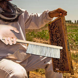 Maxbell Beekeeping Brush for Beekeepers Wood Handle Portable Beehive Brush Bee Tool A