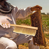 Maxbell Beekeeping Brush for Beekeepers Wood Handle Portable Beehive Brush Bee Tool B