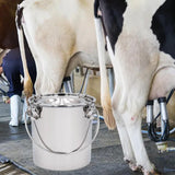 Maxbell Milk Bucket Stainless Steel Portable Farm Animals Supplies Stable Individual 5L