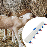 Maxbell Lamb Feed Bottle for Farm Reusable Lamb Feeding Supplies for Puppy Piglet 6 Nipple