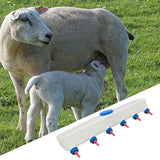Maxbell Lamb Feed Bottle for Farm Reusable Lamb Feeding Supplies for Puppy Piglet 6 Nipple