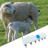 Maxbell Lamb Feed Bottle for Farm Reusable Lamb Feeding Supplies for Puppy Piglet 12 Nipple