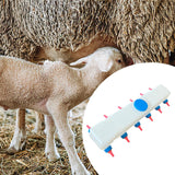 Maxbell Lamb Feed Bottle for Farm Reusable Lamb Feeding Supplies for Puppy Piglet 12 Nipple