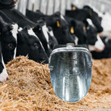 Maxbell Metal feed Scoop Multifunctional for Livestock for Livestock Farming Poultry
