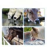 Maxbell Automatic Cow Drinking Water Bowl Eco Friendly Accessory for Dogs Cow Horses