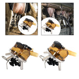 Maxbell Cow Milk Collector Milking Claw Easy Maintenance Milking Machine Accessories Without valve