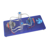 Maxbell Hydrogen-oxygen Fuel Cell Experiment Set Lab Equipment for School Elementary