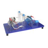 Maxbell Hydrogen-oxygen Fuel Cell Experiment Set Lab Equipment for School Elementary