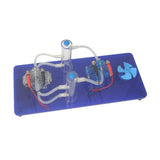 Maxbell Hydrogen-oxygen Fuel Cell Experiment Set Lab Equipment for School Elementary