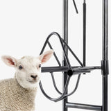 Maxbell Sheep Head Fixture Easy to Use Sheep Shearing Support for Home Use Factories