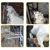 Maxbell Sheep Head Fixture Easy to Use Sheep Shearing Support for Home Use Factories