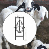 Maxbell Sheep Head Fixture Easy to Use Sheep Shearing Support for Home Use Factories