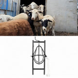 Maxbell Sheep Head Fixture Easy to Use Sheep Shearing Support for Home Use Factories