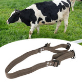 Maxbell Cow Anti Splitting Belt High Strength Ergonomic Professional Equipment Nylon