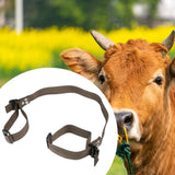 Maxbell Cow Anti Splitting Belt High Strength Ergonomic Professional Equipment Nylon