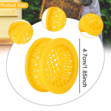 Maxbell 10x Queen Bee Cages Practical Beekeeping Rearing Boxes for Yard Outdoor Farm