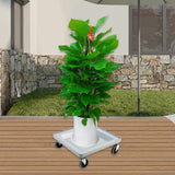 Maxbell Cup Rack Cart Movable Mobile Roller Portable Transport Equipment with Wheels