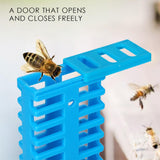 Maxbell Queen Cages for Bee Blue Bee Transport Rearing Cages High Performance Sturdy