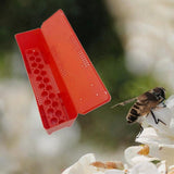 Maxbell Transport Cage Beekeeping Supplies Holds 20 Cages for Bee Queen Rearing Cage