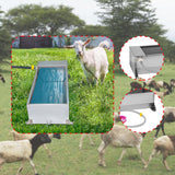 Automatic Livestock Water Trough Piglet Cow Livestock Waterer Large Capacity