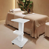 Beauty Salon Trolley Cart Skincare Tool Organizer Salon SPA Rolling Trolley