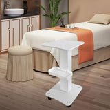 Beauty Salon Trolley Cart Skincare Tool Organizer Salon SPA Rolling Trolley