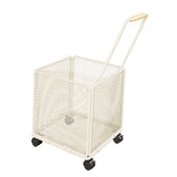 Maxbell Shopping Cart Heavy Duty Portable Utility Cart for Grocery Household Luggage White