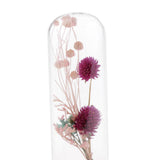 Maxbell Romantic Dried Flower Plant Ornament Micro Landscape Glass Cover Purple