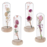Maxbell Romantic Dried Flower Plant Ornament Micro Landscape Glass Cover Purple