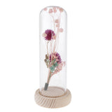 Maxbell Romantic Dried Flower Plant Ornament Micro Landscape Glass Cover Purple