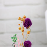 Maxbell Romantic Dried Flower Plant Ornament Micro Landscape Glass Cover Purple