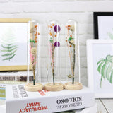 Maxbell Romantic Dried Flower Plant Ornament Micro Landscape Glass Cover Purple