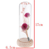 Maxbell Romantic Dried Flower Plant Ornament Micro Landscape Glass Cover Purple