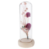 Maxbell Romantic Dried Flower Plant Ornament Micro Landscape Glass Cover Purple