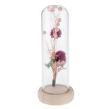 Maxbell Romantic Dried Flower Plant Ornament Micro Landscape Glass Cover Purple