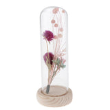 Maxbell Romantic Dried Flower Plant Ornament Micro Landscape Glass Cover Purple