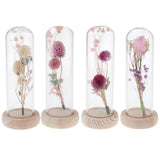 Maxbell Romantic Dried Flower Plant Ornament Micro Landscape Glass Cover Purple