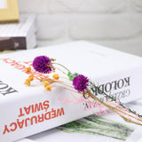 Maxbell Romantic Dried Flower Plant Ornament Micro Landscape Glass Cover Purple