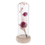 Maxbell Romantic Dried Flower Plant Ornament Micro Landscape Glass Cover Purple