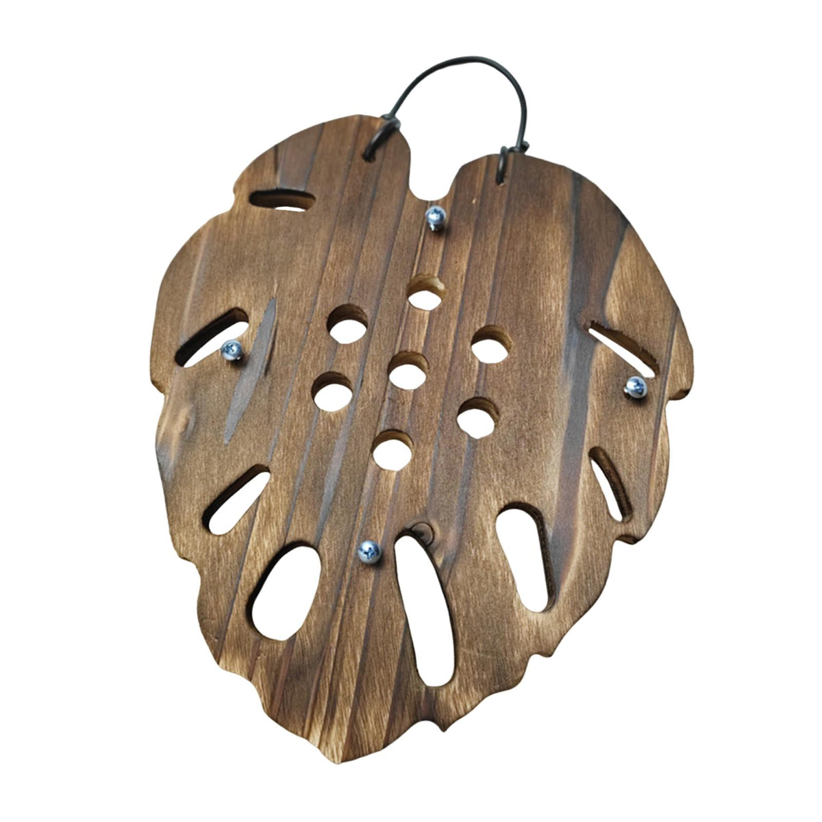 Maxbell Fern Mounting Board Wall Planter for Indoor Gardening Space Saving Versatile Leaf Shape