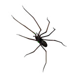 Maxbell 3D Spider Fridge Magnet Halloween Magnetic Decal for Office Refrigerator Car Black