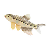 Maxbell Simulated Sea Life Animals Figurines Fish Model Toy for Birthday Cake Topper Herring