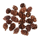 Maxbell 100 Pieces Small Real Natural Pine Cones for Christmas Ornaments Decoration