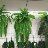 Artificial Persian grass wall hanging home decoration green simulation fern grass plant rattan - Aladdin Shoppers