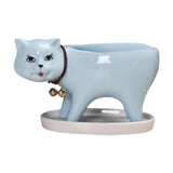 Maxbell Cat Shaped Planter Pot Cactus Cute Kitten Flowerpot for Office Bedroom Table Blue
