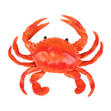 Realistic Crab Figurine Kid Toy Sea Animal Figures Model for Girls Teens Children