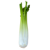 Maxbell 2x Artificial Shanghai Cabbage Imitation Food Store Cabinet Display Decor