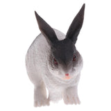 Maxbell Maxbell Realistic Plastic Animal Model Figure Rabbit Model Figurine Kids Toy Both Indoor/Outdoor Play Home Office Decoration Birthday Gift