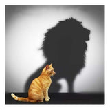 Maxbell 2 Set Cat Tiger Lion DIY 5D Diamond Painting Embroidery Cross Stitch Kit