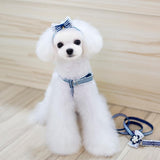 Maxbell Maxbell Pet Dog Traction Rope Lead Leash Collar Harness Strap Headband M BLU Stripe